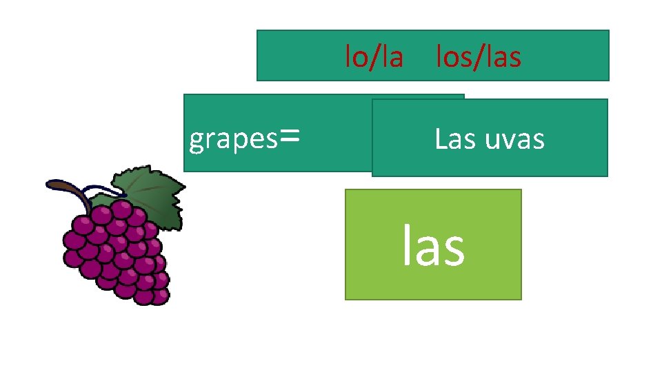 lo/la los/las grapes= Las uvas las 