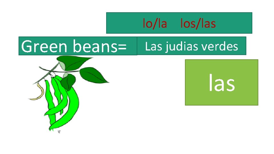 lo/la los/las Green beans= Las judias verdes las 