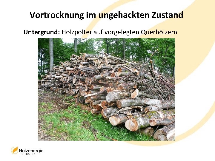 Vortrocknung im ungehackten Zustand Untergrund: Holzpolter auf vorgelegten Querhölzern 