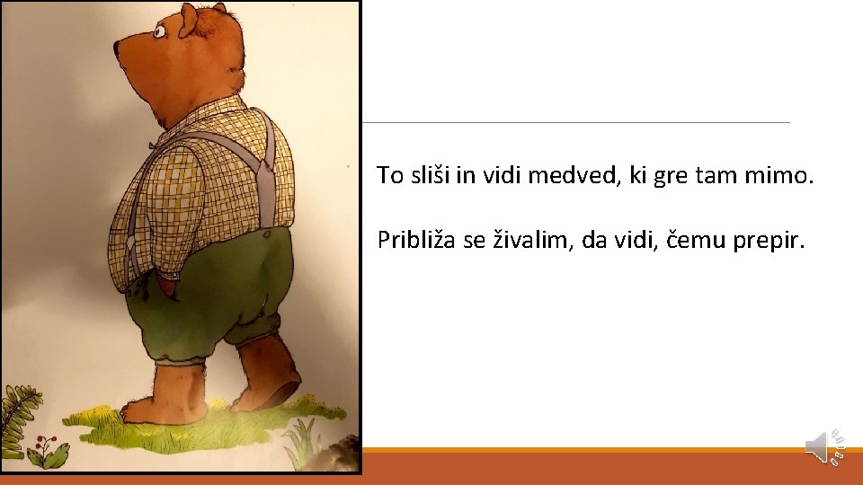 To sliši in vidi medved, ki gre tam mimo. Približa se živalim, da vidi,