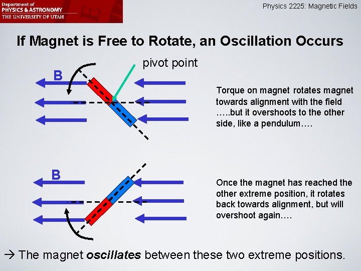 Physics 2225: Magnetic Fields If Magnet is Free to Rotate, an Oscillation Occurs B