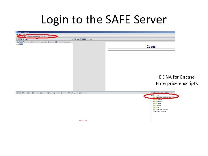 Login to the SAFE Server DDNA for Encase Enterprise enscripts 