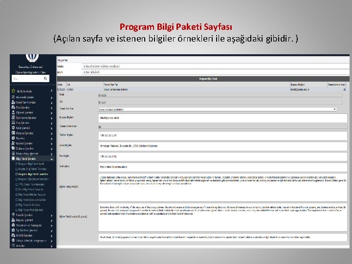 Program Bilgi Paketi Sayfası (Açılan sayfa ve istenen bilgiler örnekleri ile aşağıdaki gibidir. )