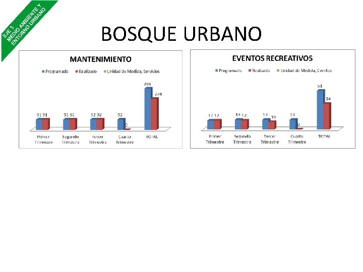 BOSQUE URBANO 