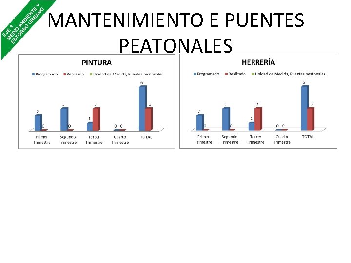 MANTENIMIENTO E PUENTES PEATONALES 