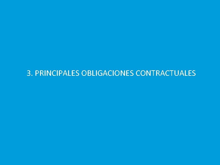 3. PRINCIPALES OBLIGACIONES CONTRACTUALES 