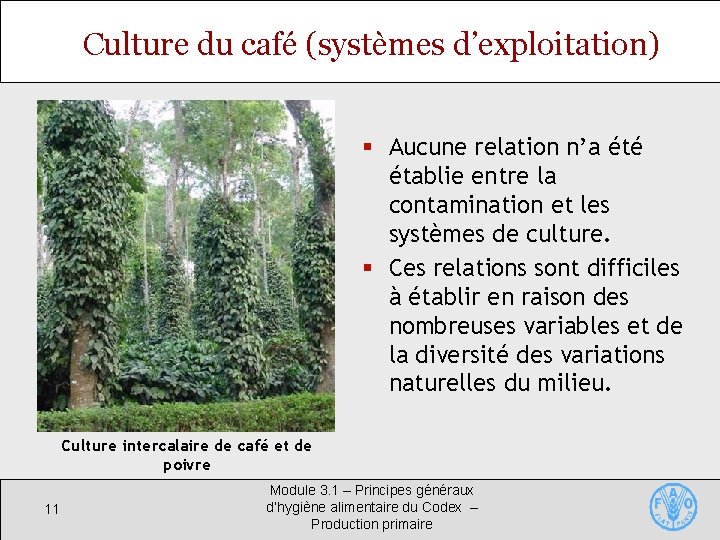 Culture du café (systèmes d’exploitation) § Aucune relation n’a été établie entre la contamination