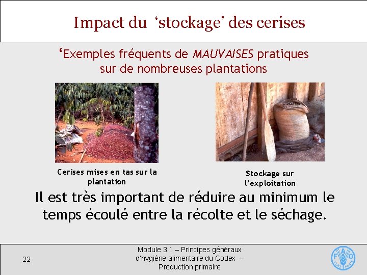 Impact du ‘stockage’ des cerises ‘Exemples fréquents de MAUVAISES pratiques sur de nombreuses plantations