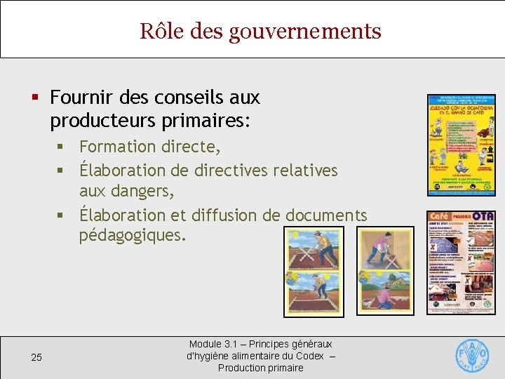 Rôle des gouvernements § Fournir des conseils aux producteurs primaires: § Formation directe, §