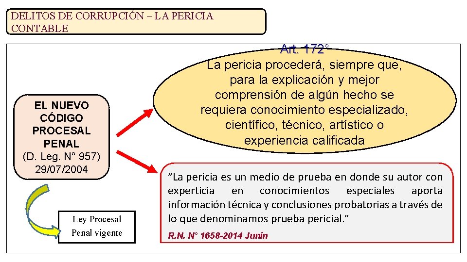 DELITOS DE CORRUPCIÓN – LA PERICIA CONTABLE EL NUEVO CÓDIGO PROCESAL PENAL (D. Leg.