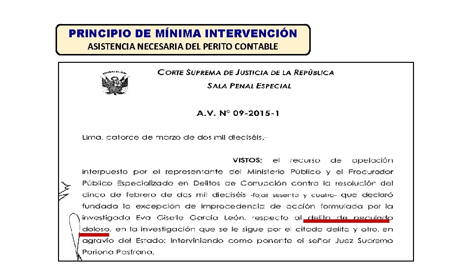 PRINCIPIO DE MÍNIMA INTERVENCIÓN ASISTENCIA NECESARIA DEL PERITO CONTABLE 