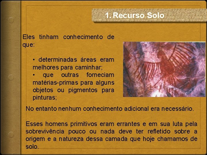 1. Recurso Solo Eles tinham conhecimento de que: • determinadas áreas eram melhores para