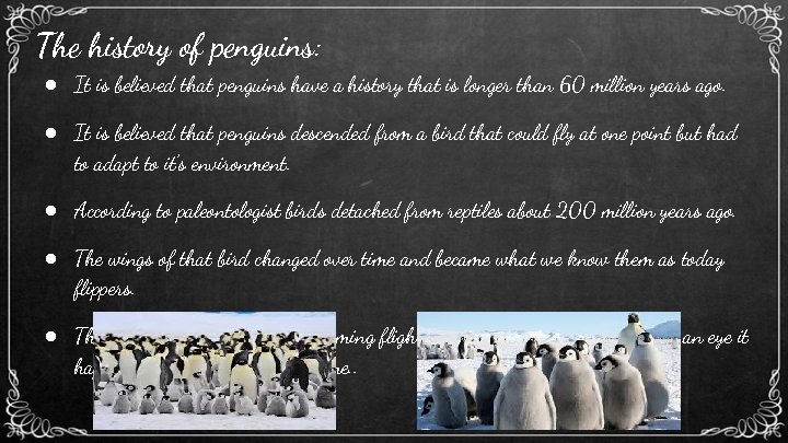 The history of penguins: ● It is believed that penguins have a history that