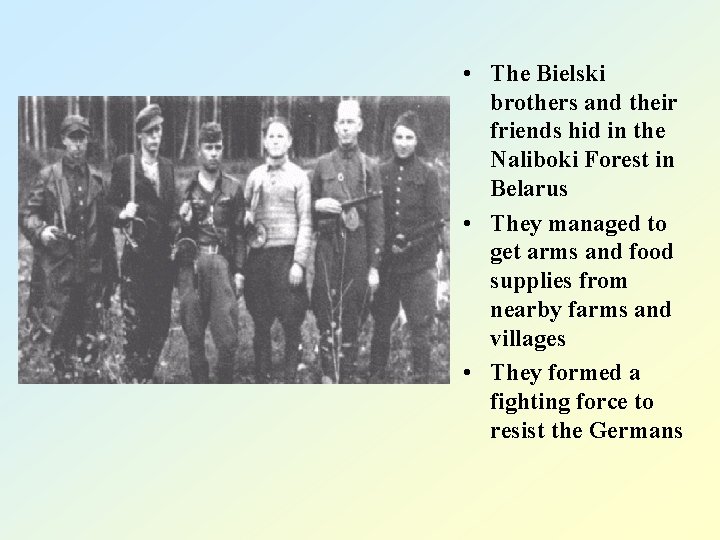  • The Bielski brothers and their friends hid in the Naliboki Forest in