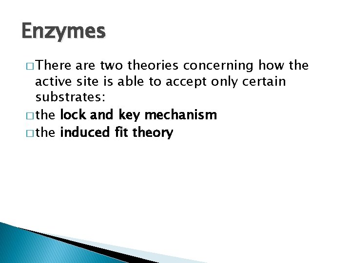 Enzymes � There are two theories concerning how the active site is able to