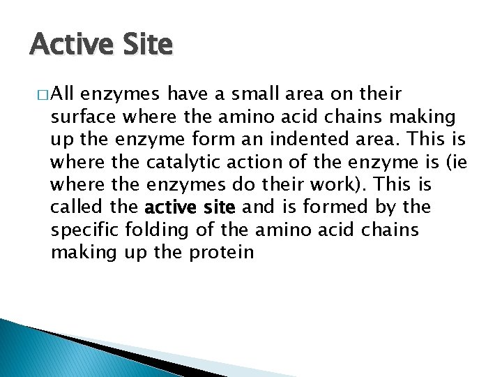 Active Site � All enzymes have a small area on their surface where the