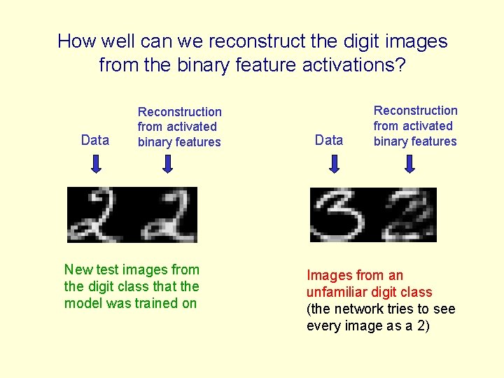 How well can we reconstruct the digit images from the binary feature activations? Data