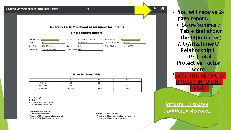  • You will receive 2 page report. • Score Summary Table that shows