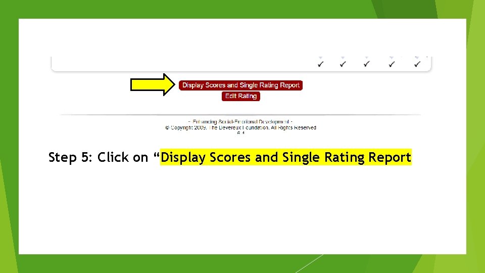 Step 5: Click on “Display Scores and Single Rating Report 