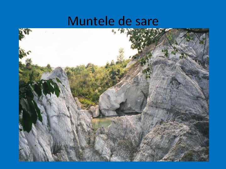 Muntele de sare 