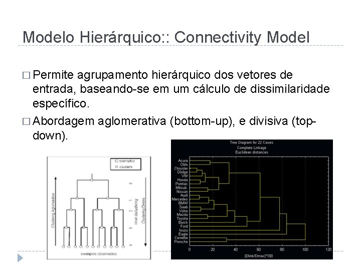 Modelo Hierárquico: : Connectivity Model � Permite agrupamento hierárquico dos vetores de entrada, baseando-se