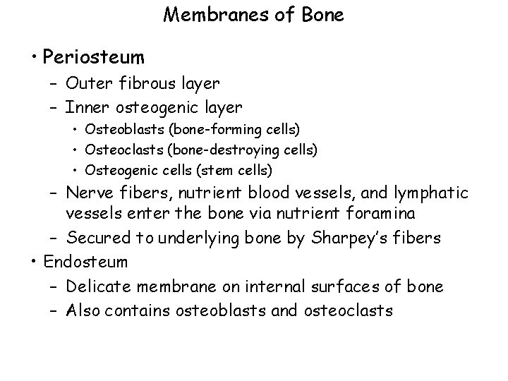 Membranes of Bone • Periosteum – Outer fibrous layer – Inner osteogenic layer •