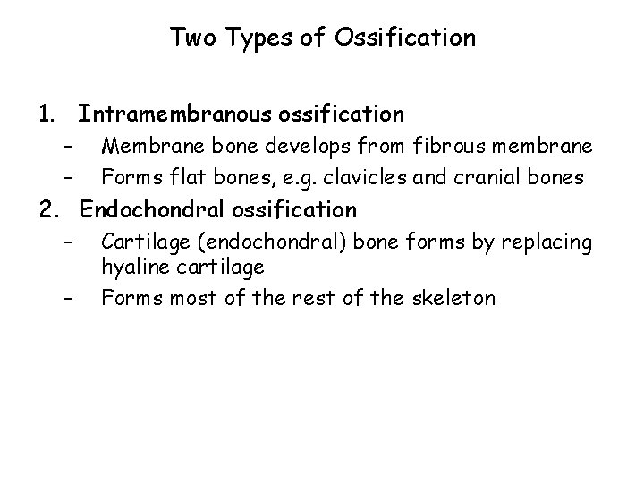Two Types of Ossification 1. Intramembranous ossification – – Membrane bone develops from fibrous
