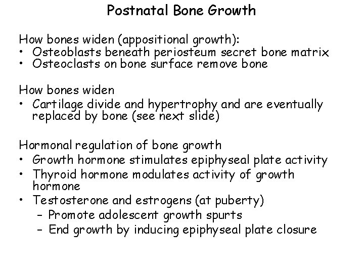Postnatal Bone Growth How bones widen (appositional growth): • Osteoblasts beneath periosteum secret bone