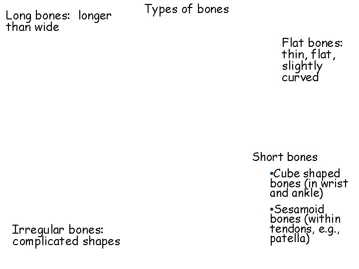 Long bones: longer than wide Irregular bones: complicated shapes Types of bones Flat bones: