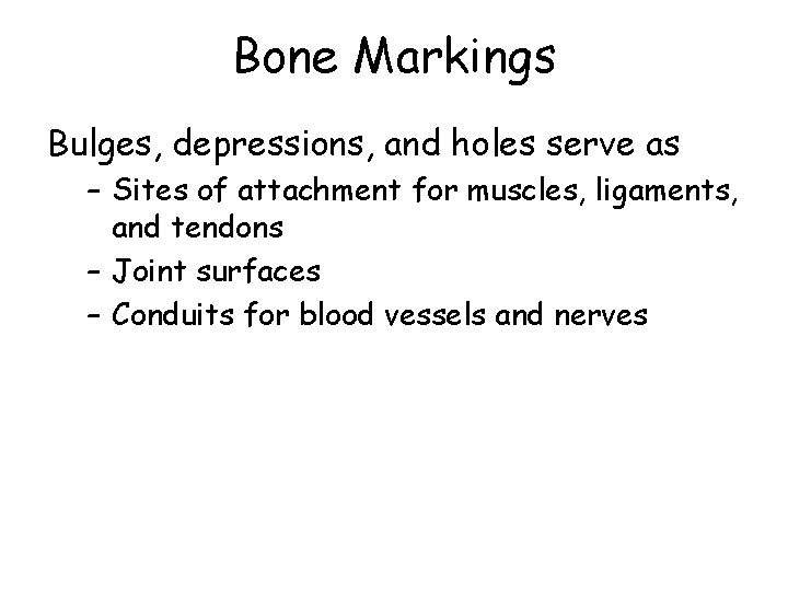Bone Markings Bulges, depressions, and holes serve as – Sites of attachment for muscles,