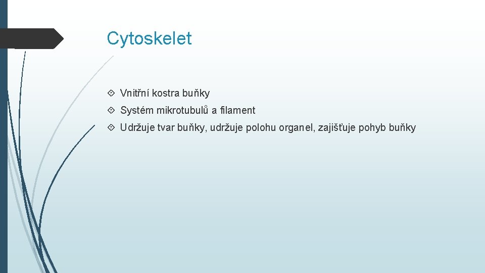 Cytoskelet Vnitřní kostra buňky Systém mikrotubulů a filament Udržuje tvar buňky, udržuje polohu organel,