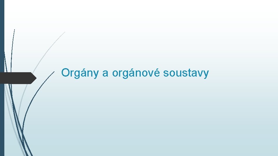 Orgány a orgánové soustavy 