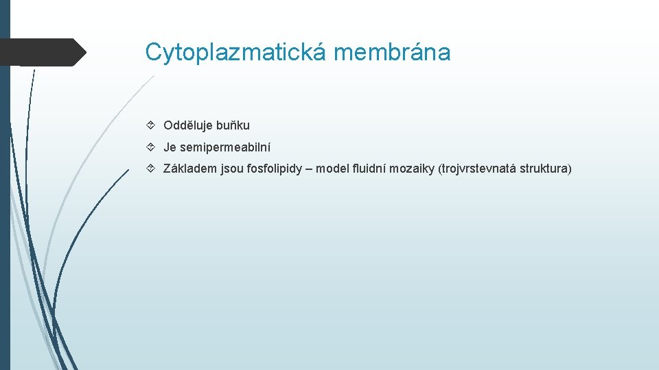 Cytoplazmatická membrána Odděluje buňku Je semipermeabilní Základem jsou fosfolipidy – model fluidní mozaiky (trojvrstevnatá