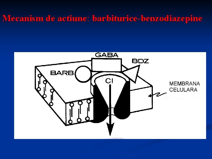 Mecanism de actiune: barbiturice-benzodiazepine 