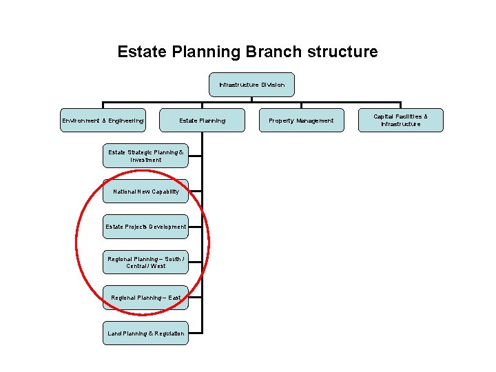 Estate Planning Branch structure Infrastructure Division Environment & Engineering Estate Planning Estate Strategic Planning