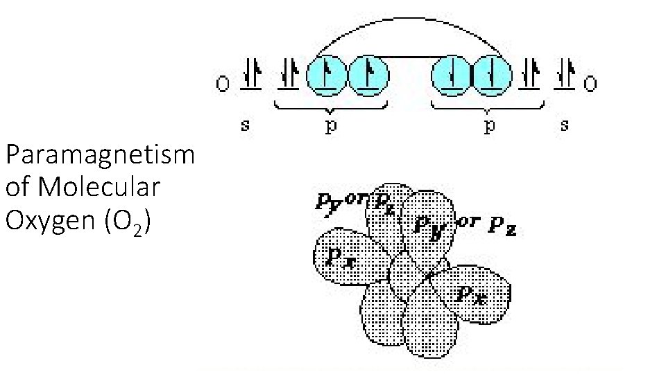 Paramagnetism of Molecular Oxygen (O 2) 