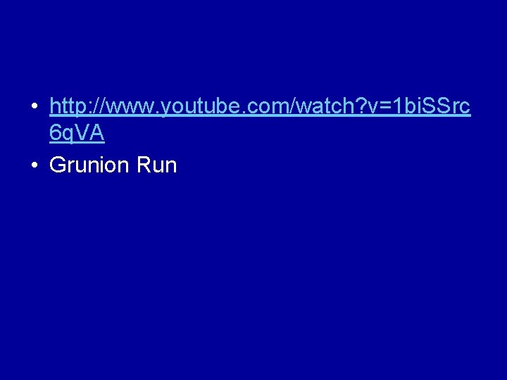  • http: //www. youtube. com/watch? v=1 bi. SSrc 6 q. VA • Grunion
