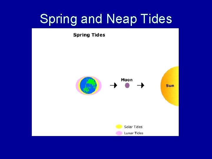 Spring and Neap Tides 