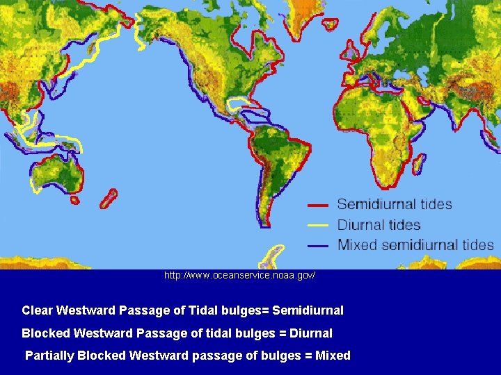 http: //www. oceanservice. noaa. gov/ Clear Westward Passage of Tidal bulges= Semidiurnal Blocked Westward