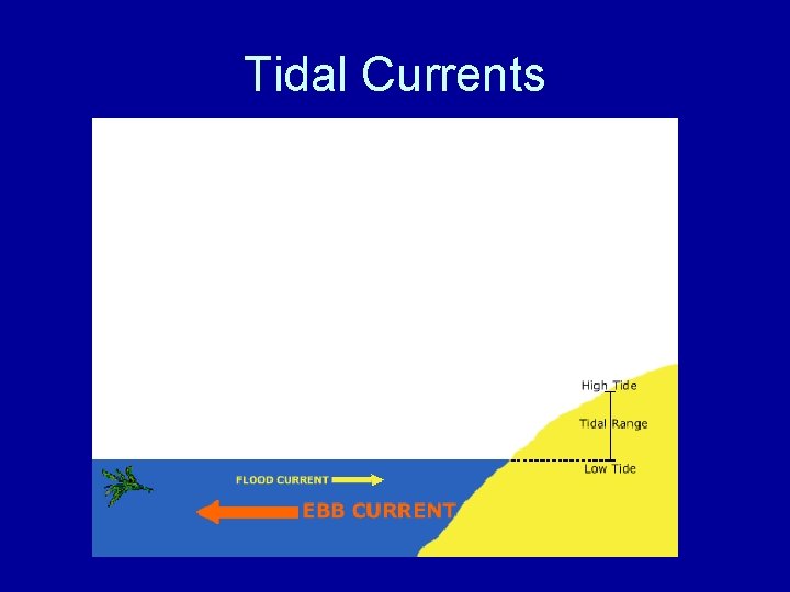 Tidal Currents 