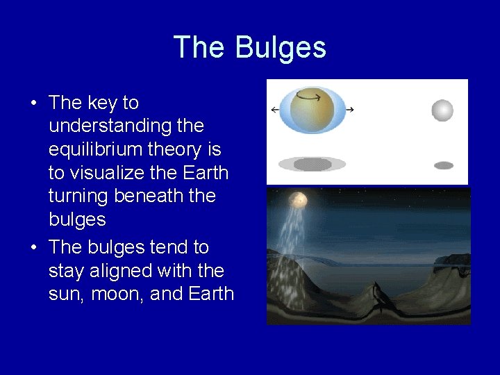 The Bulges • The key to understanding the equilibrium theory is to visualize the