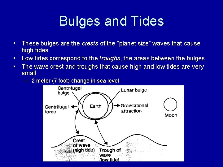 Bulges and Tides • These bulges are the crests of the “planet size” waves