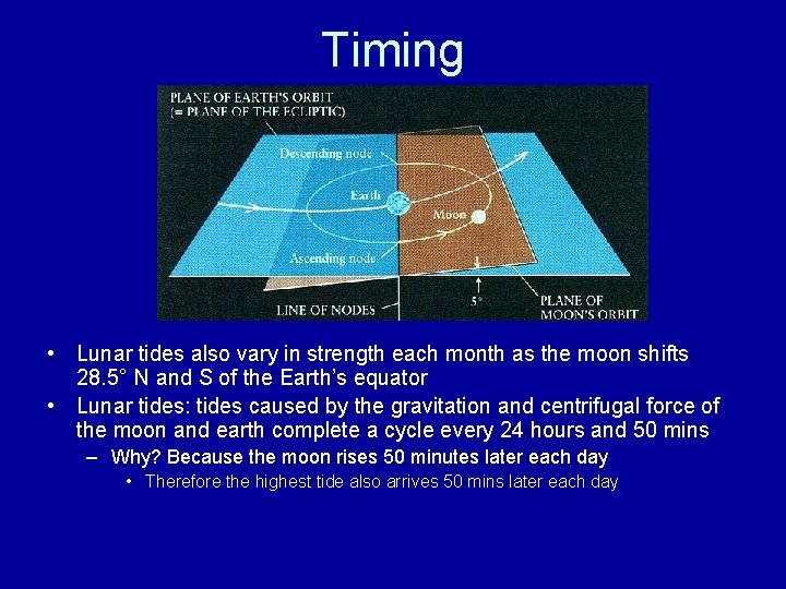 Timing • Lunar tides also vary in strength each month as the moon shifts