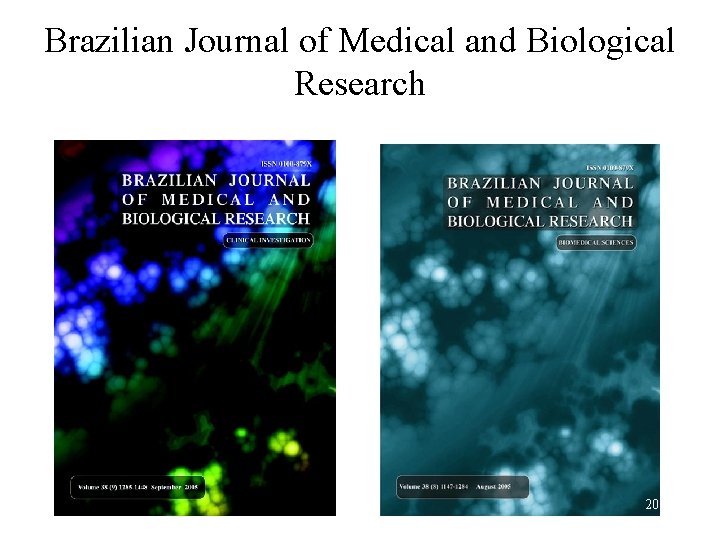 Brazilian Journal of Medical and Biological Research 20 