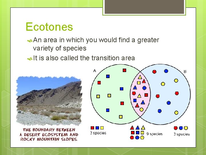 Ecotones An area in which you would find a greater variety of species It