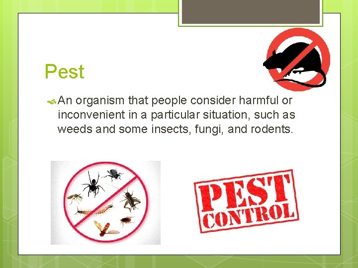Pest An organism that people consider harmful or inconvenient in a particular situation, such