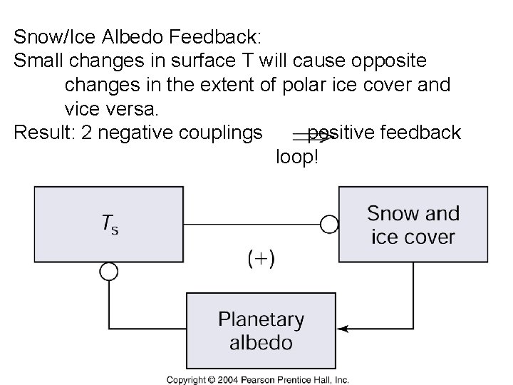 Snow/Ice Albedo Feedback: Small changes in surface T will cause opposite changes in the