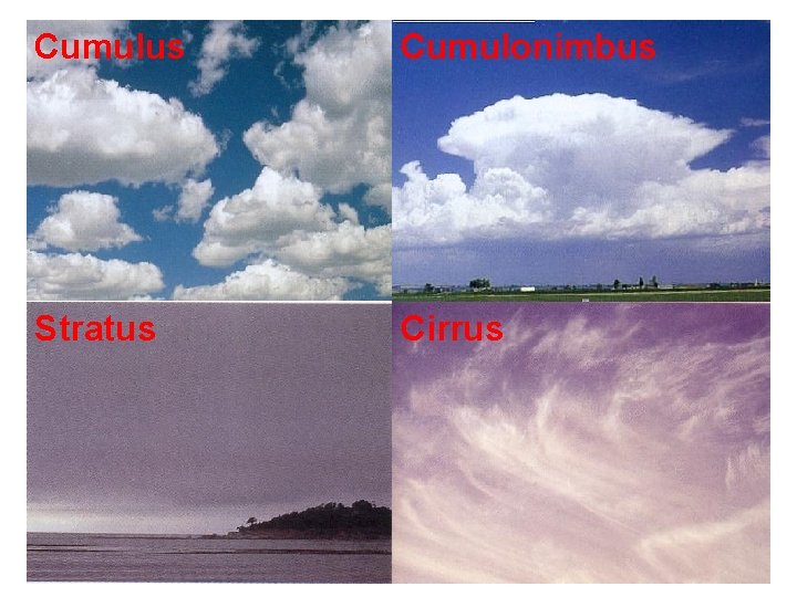 Cumulus Cumulonimbus Stratus Cirrus 