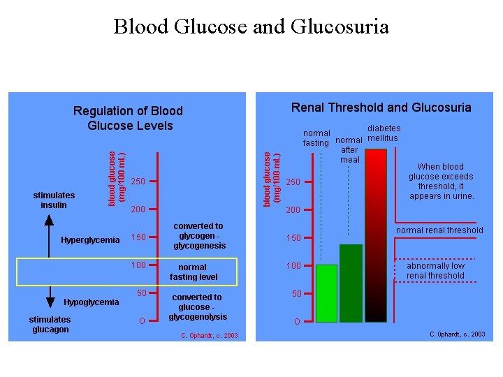 Blood Glucose and Glucosuria 