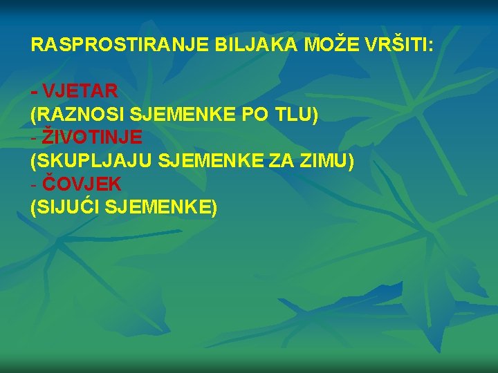 RASPROSTIRANJE BILJAKA MOŽE VRŠITI: - VJETAR (RAZNOSI SJEMENKE PO TLU) - ŽIVOTINJE (SKUPLJAJU SJEMENKE